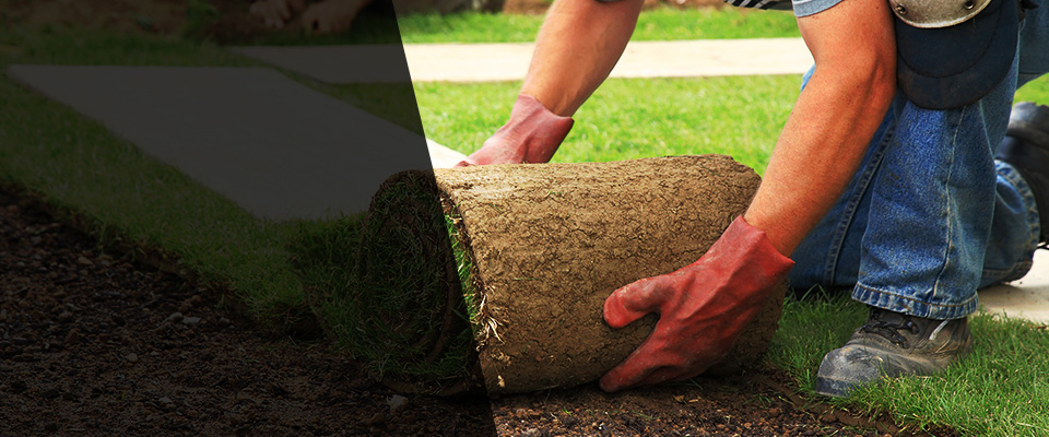 North Ridgeville Landscapers